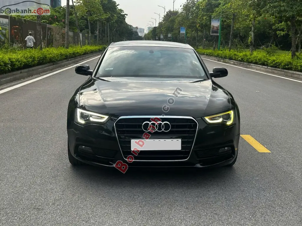 Hình ảnh số 2