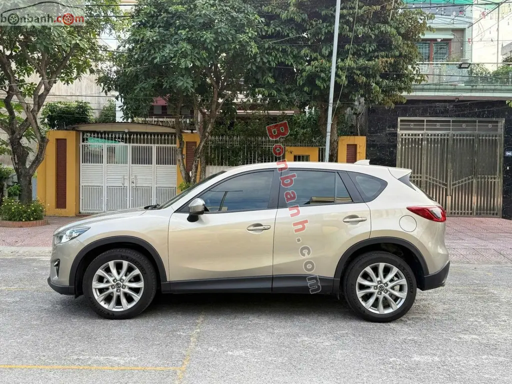 Hình ảnh số 3