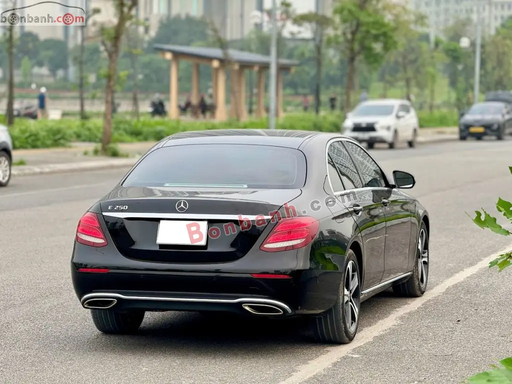 Hình ảnh số 4