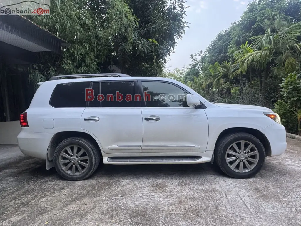 Hình ảnh số 2