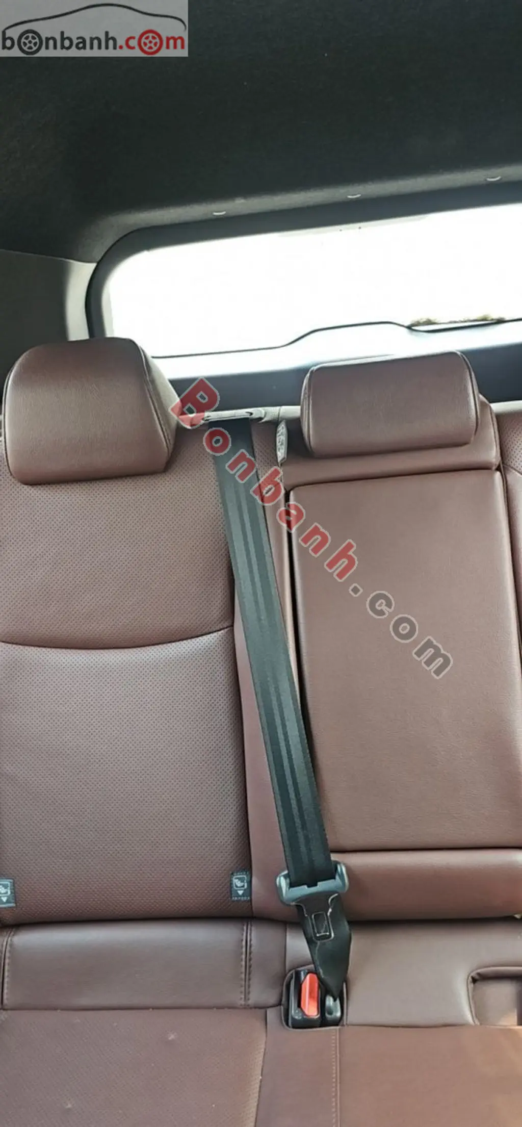 Hình ảnh số 7