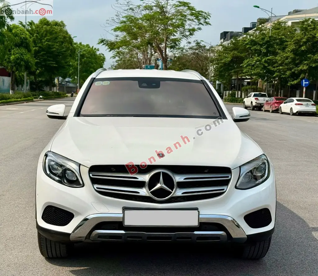 Hình ảnh số 2