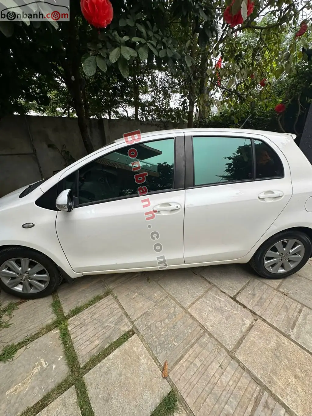 Hình ảnh số 2