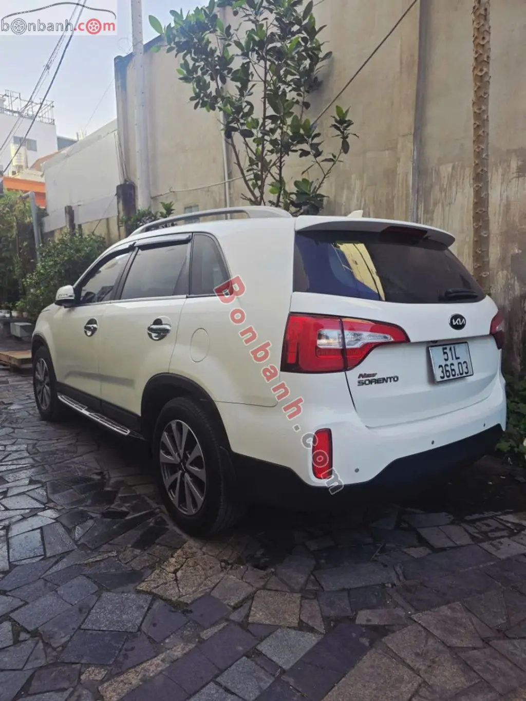 Hình ảnh số 2