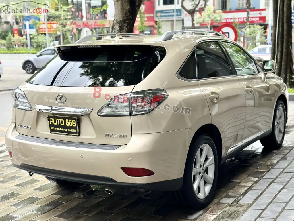 Hình ảnh số 4