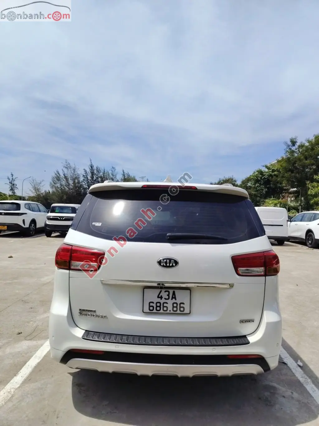 Hình ảnh số 3