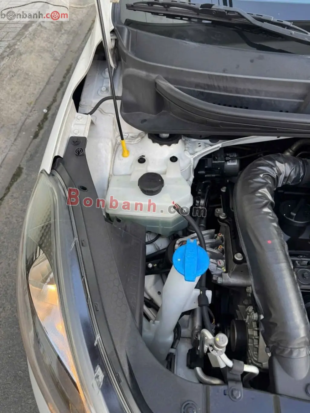 Hình ảnh số 10