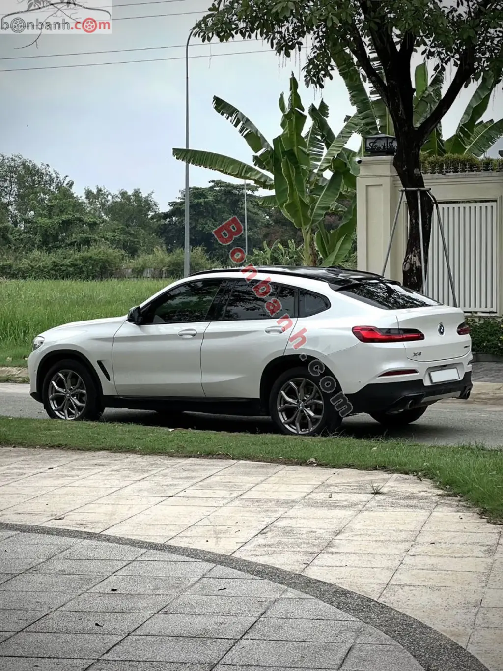 Hình ảnh số 2