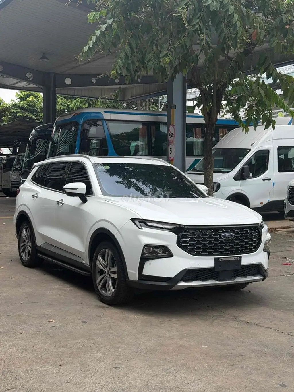 Hình ảnh số 3