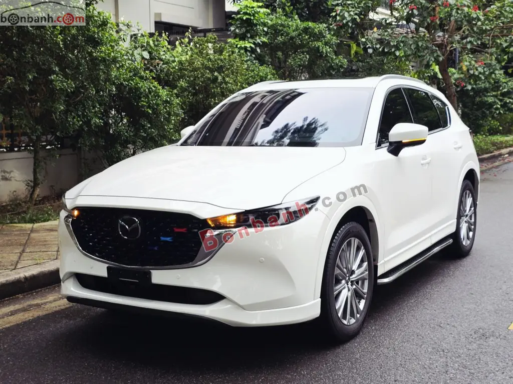 Hình ảnh số 2