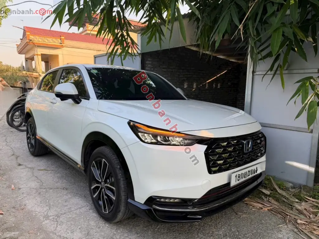 Hình ảnh số 2