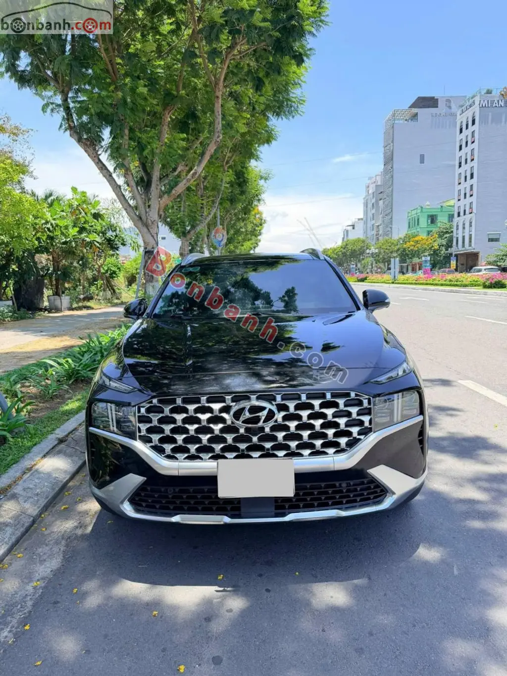 Hình ảnh số 3