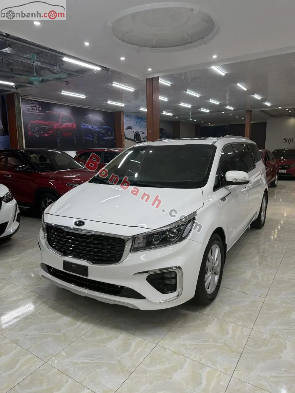 Hình ảnh số 2