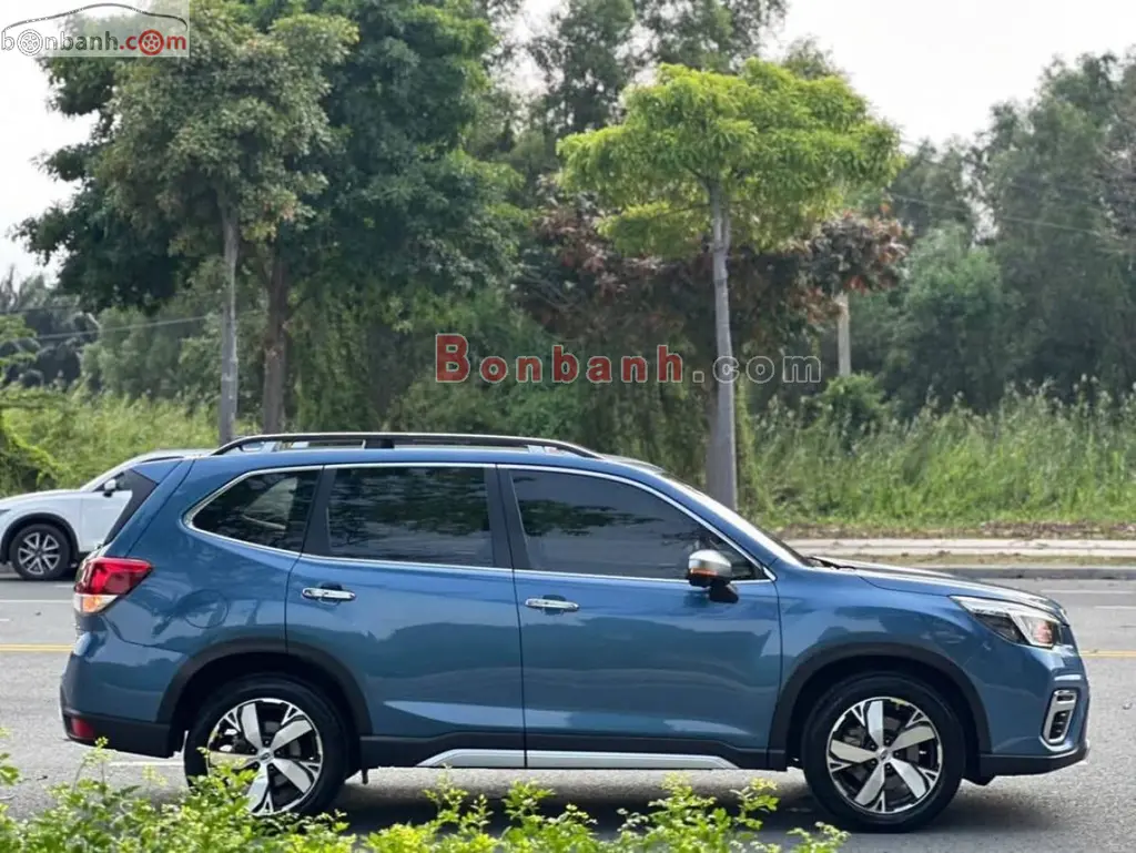 Hình ảnh số 3
