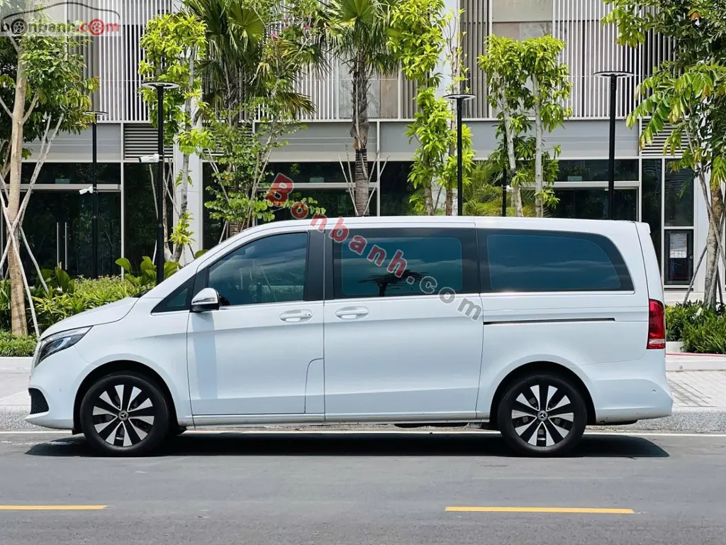 Hình ảnh số 2