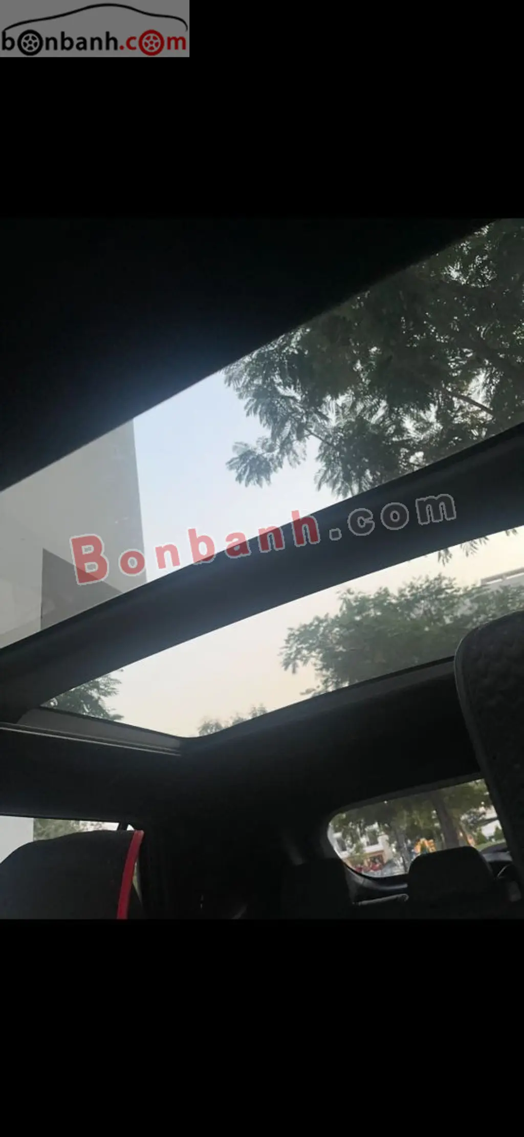 Hình ảnh số 2