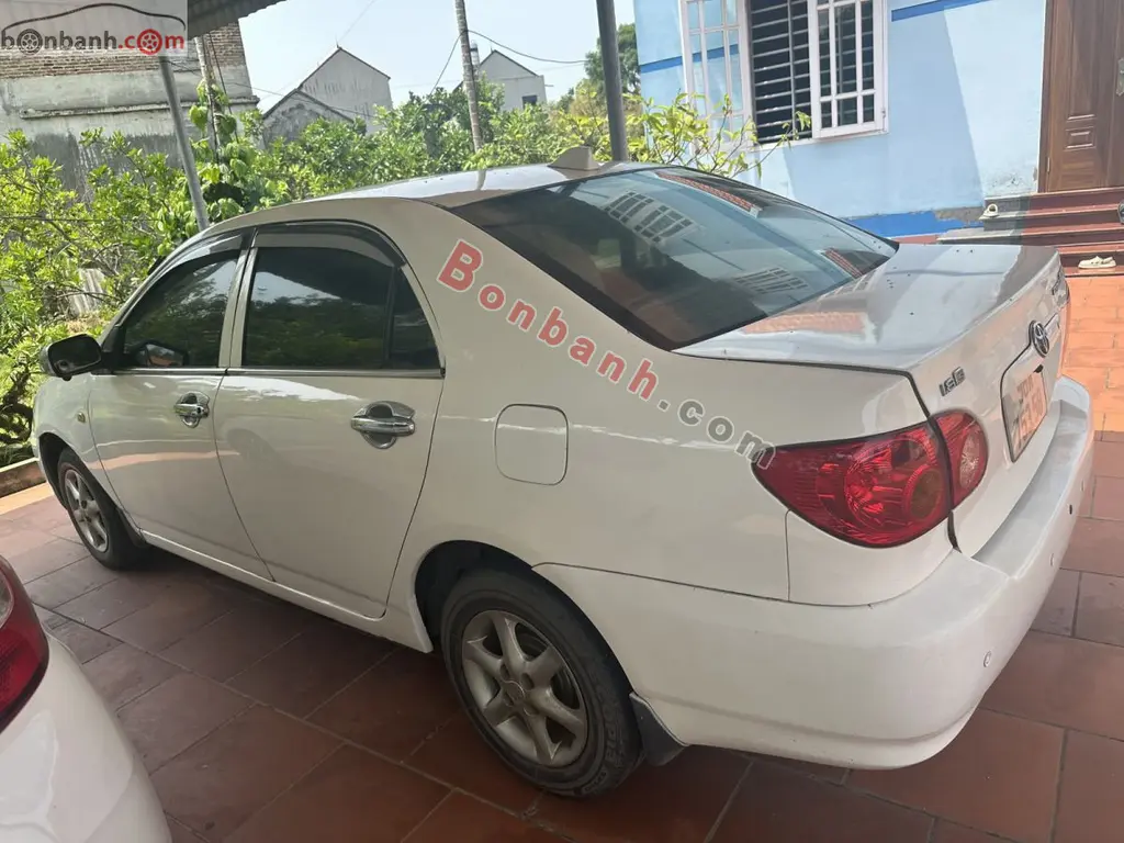 Hình ảnh số 2