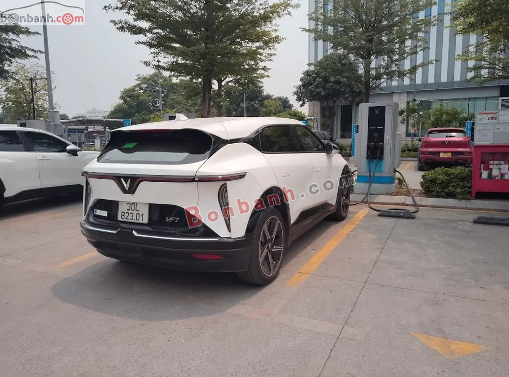 Hình ảnh số 2