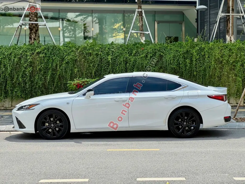 Hình ảnh số 3