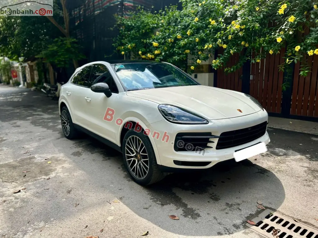 Hình ảnh số 3