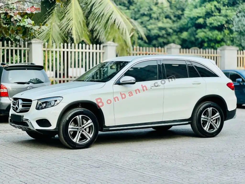 Hình ảnh số 3