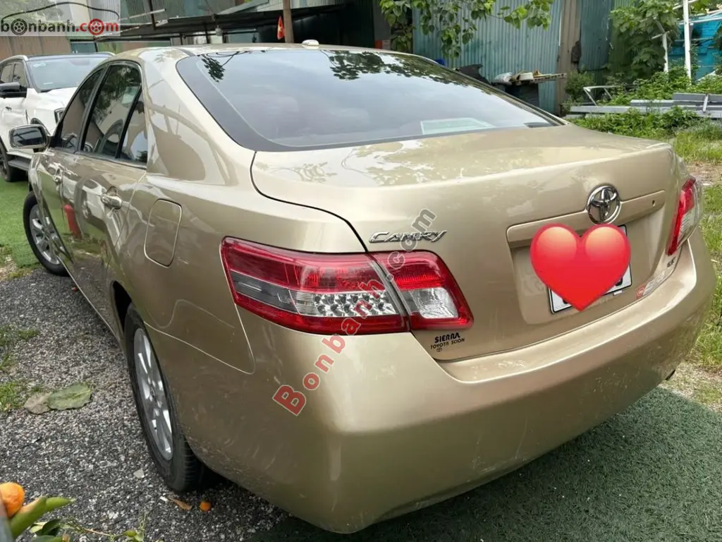 Hình ảnh số 3
