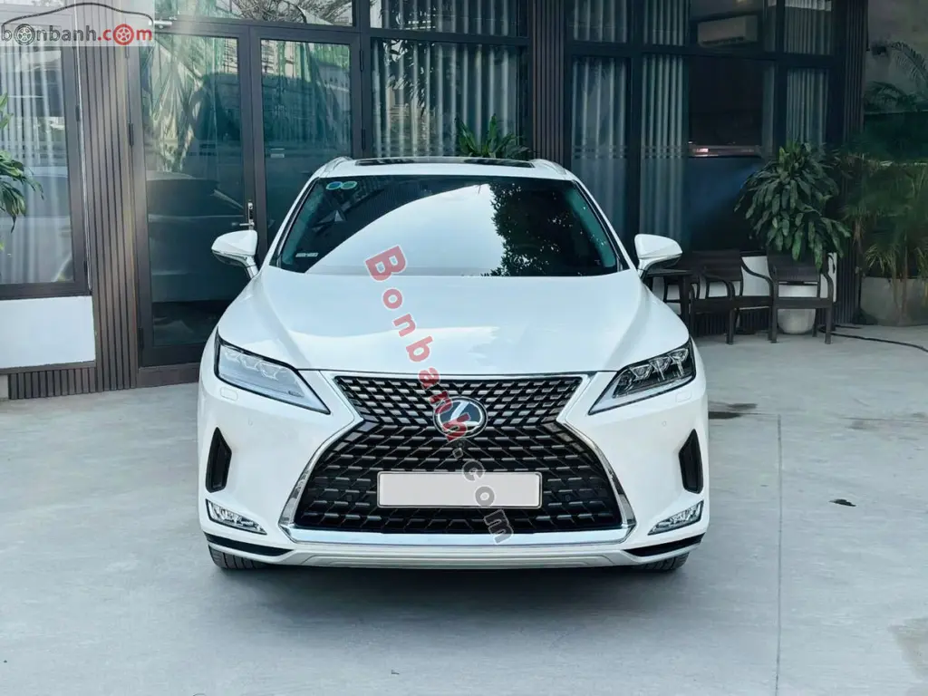 Hình ảnh số 4