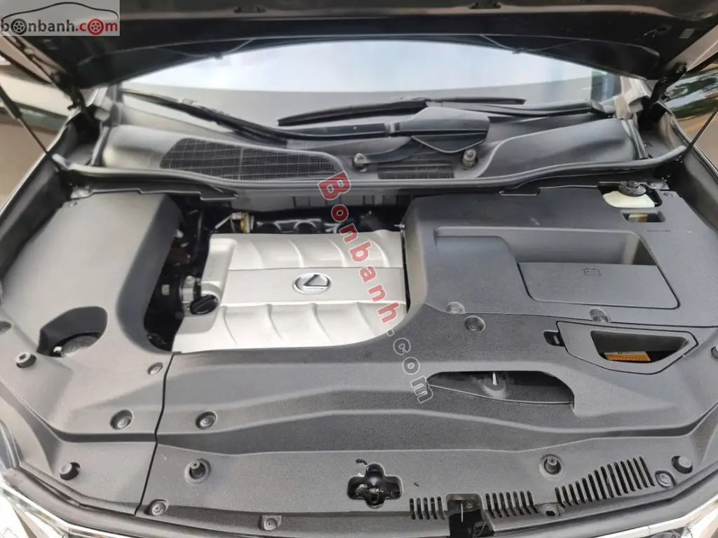 Hình ảnh số 9
