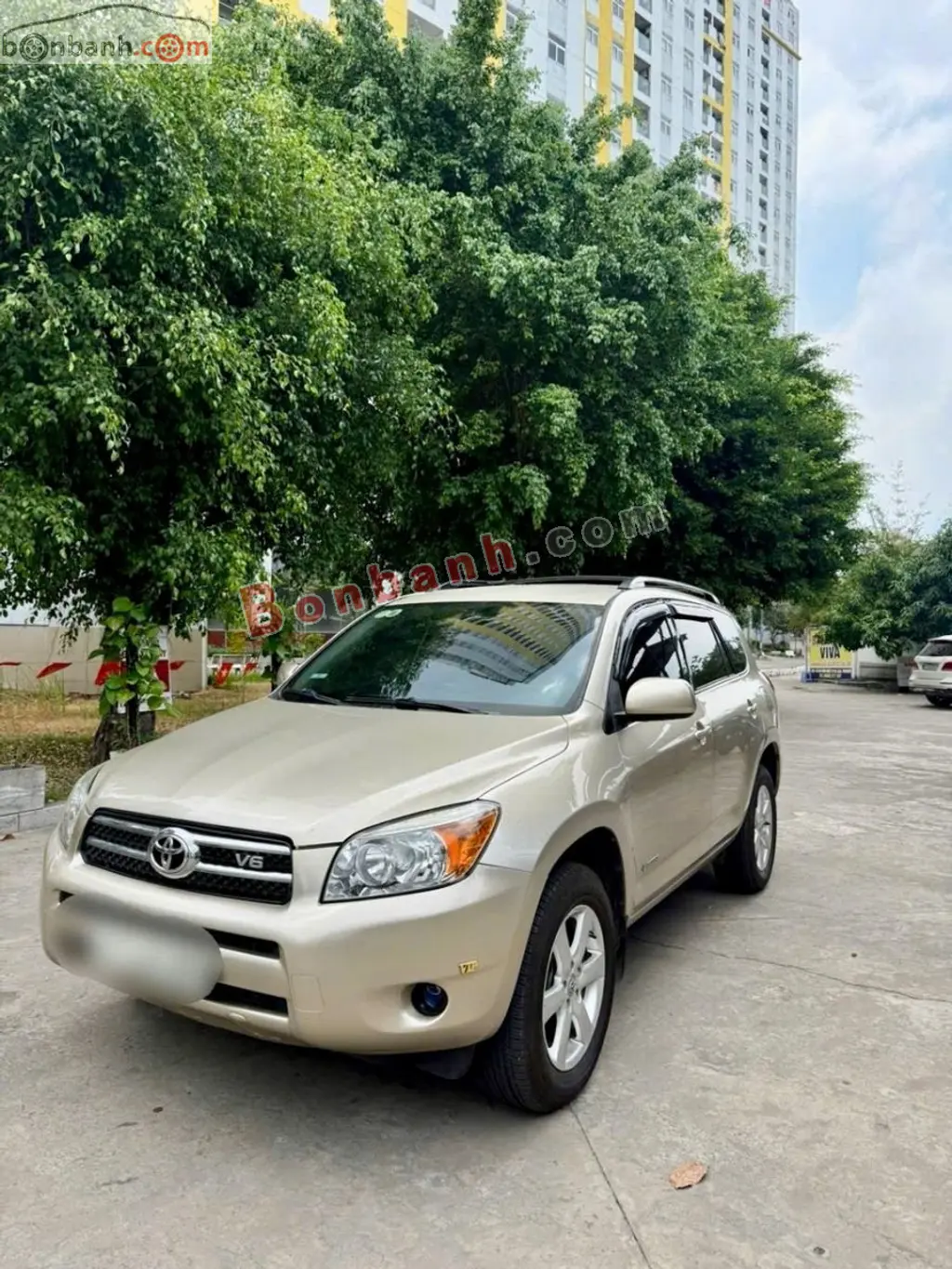 Hình ảnh số 2