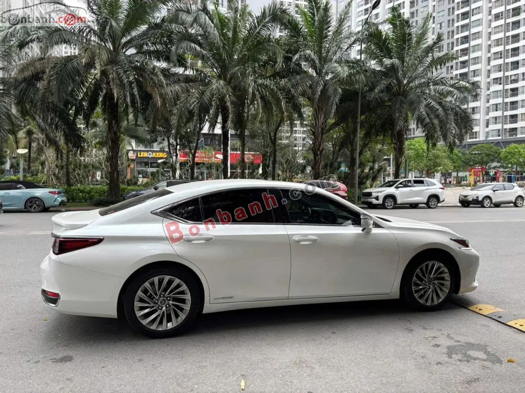 Hình ảnh số 2