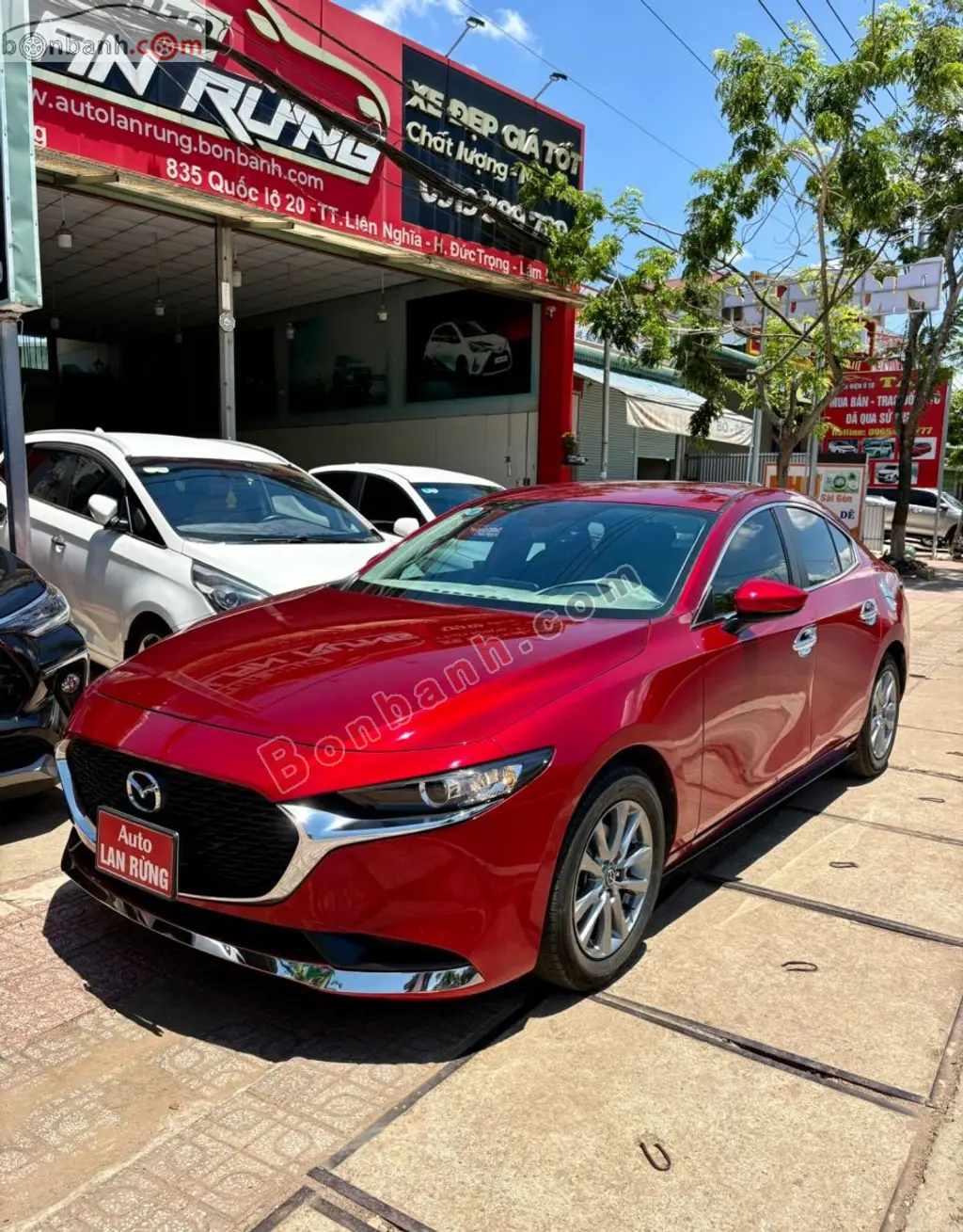 Hình ảnh số 3