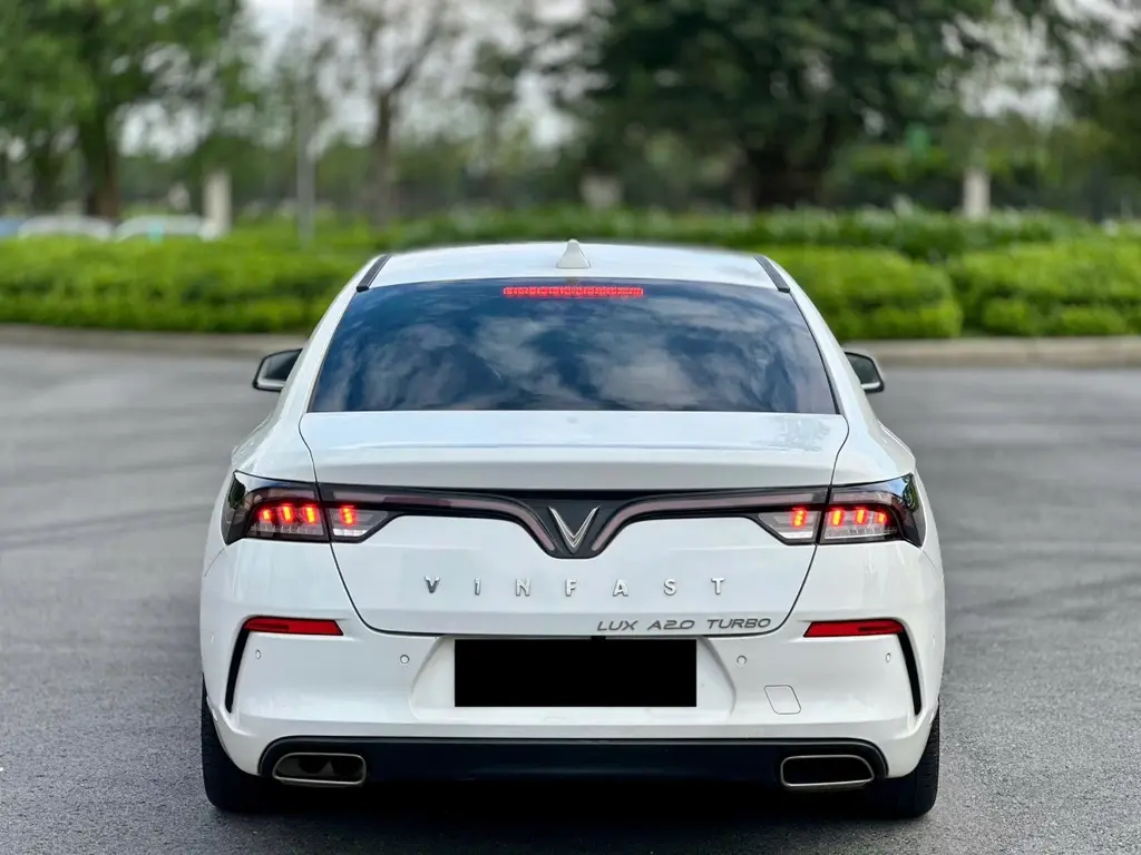 Hình ảnh số 2