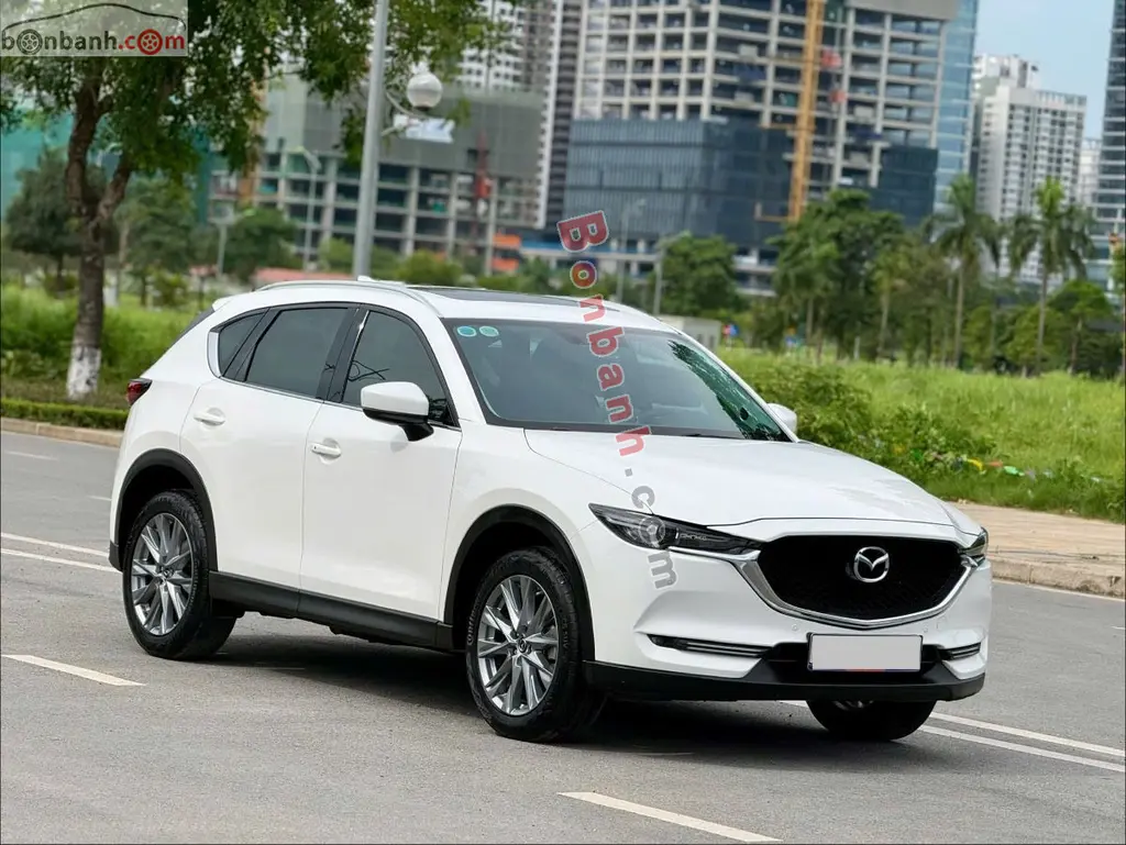 Hình ảnh số 3