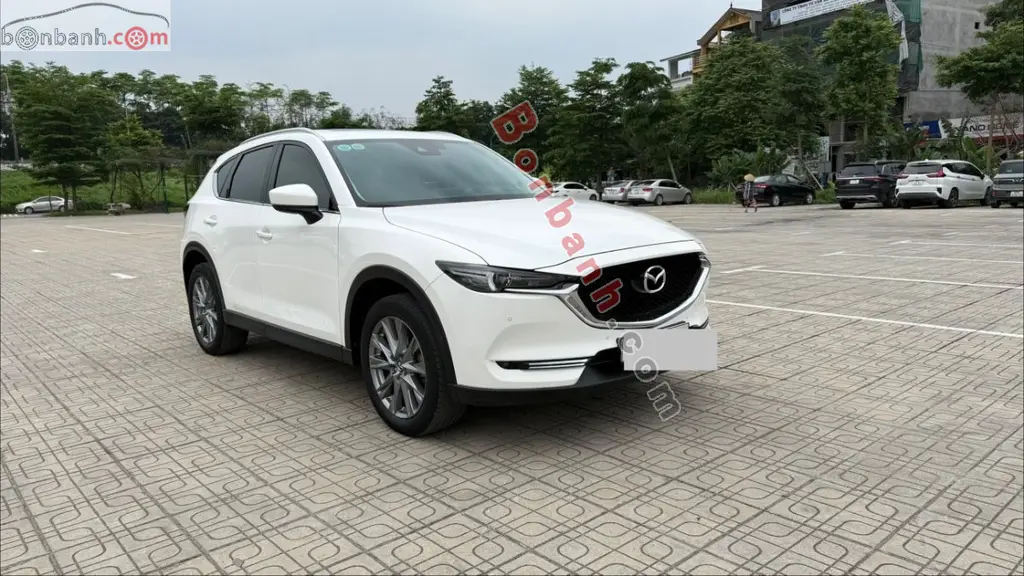 Hình ảnh số 2