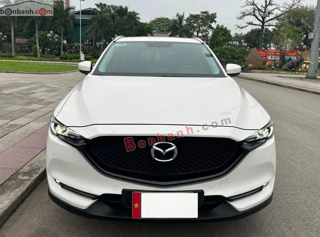 Hình ảnh số 2