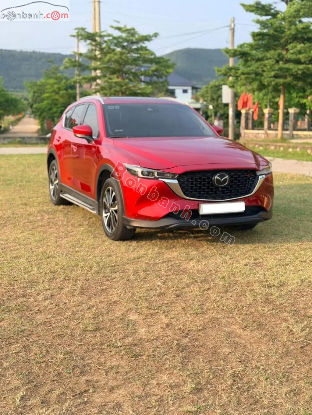 Hình ảnh số 4