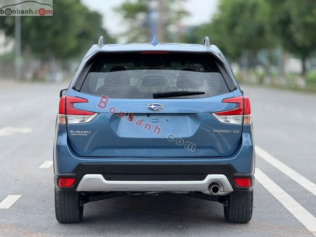 Hình ảnh số 4