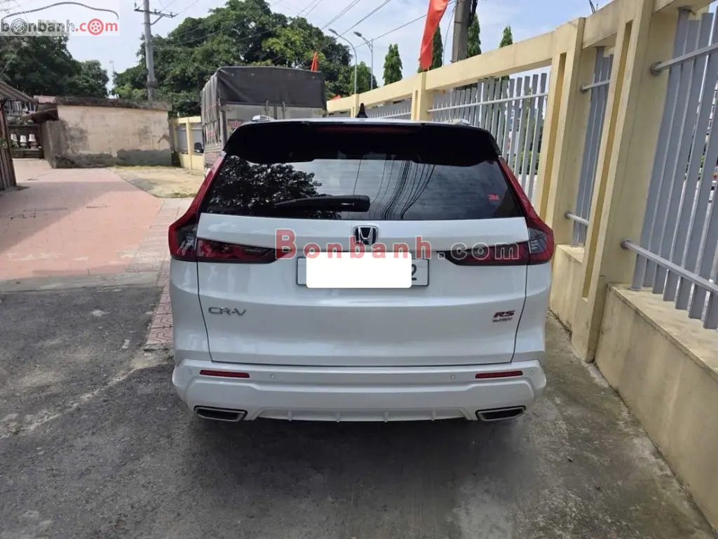 Hình ảnh số 3
