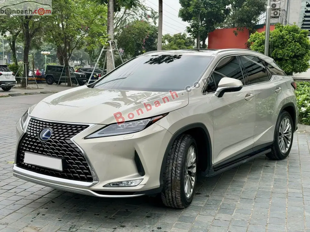 Hình ảnh số 2