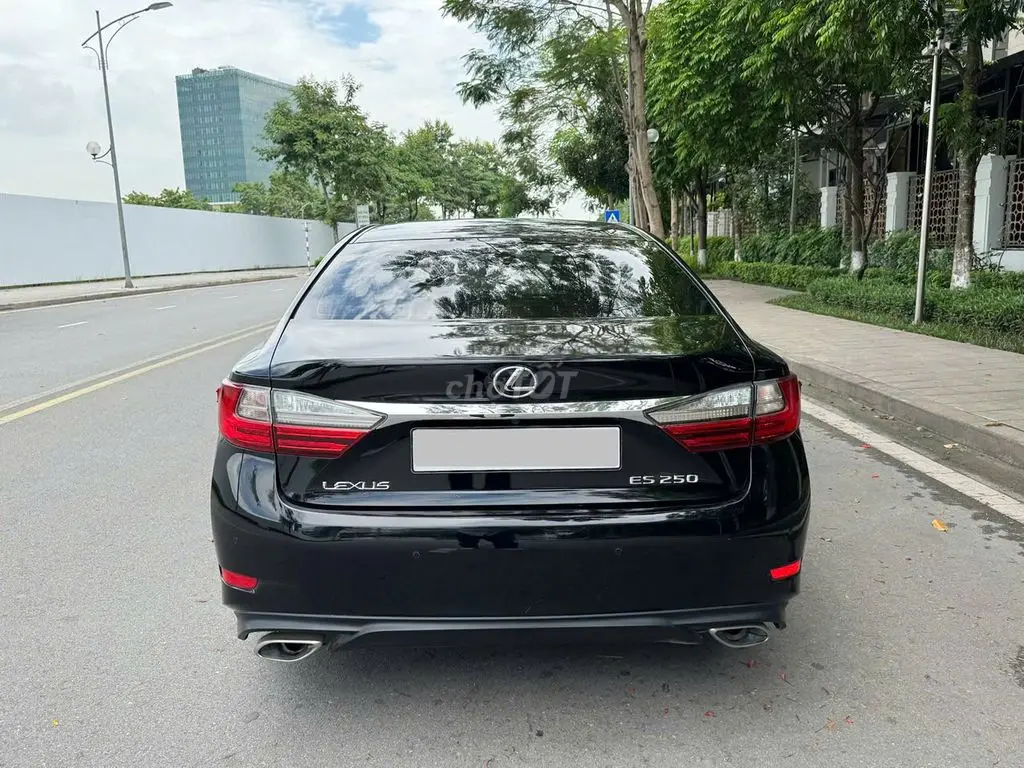 Hình ảnh số 5