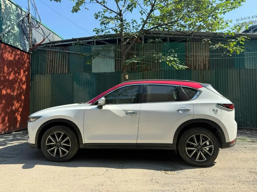 Hình ảnh số 7