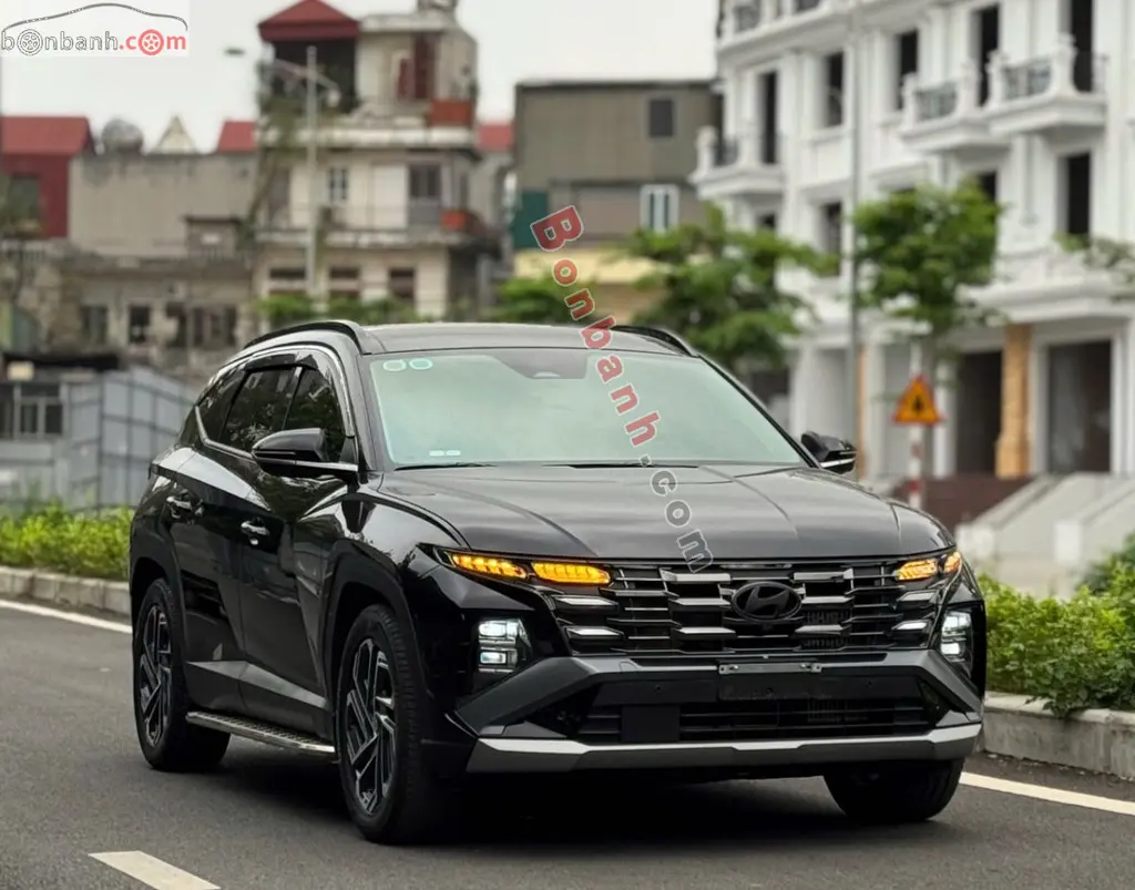 Hình ảnh số 2