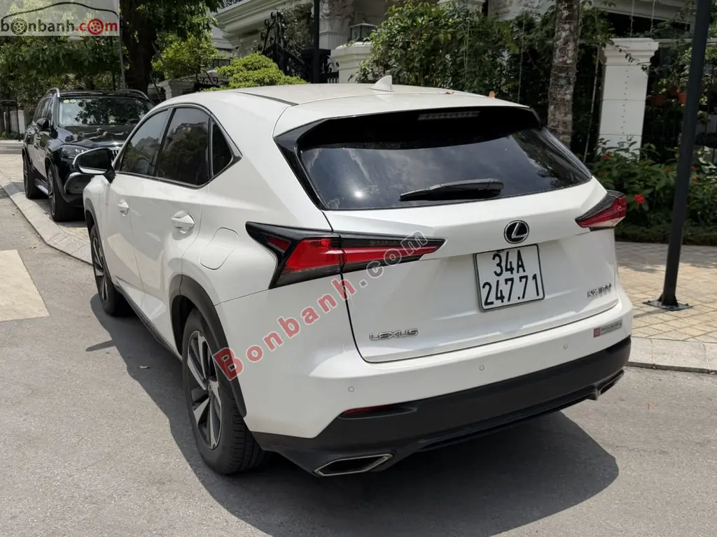 Hình ảnh số 2
