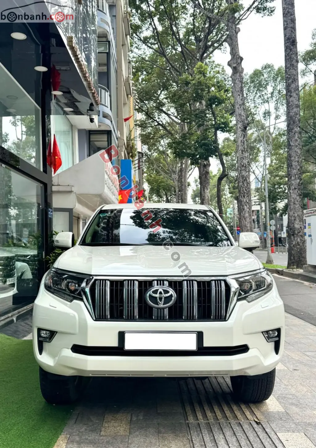 Hình ảnh số 2