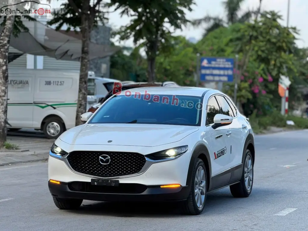 Hình ảnh số 2