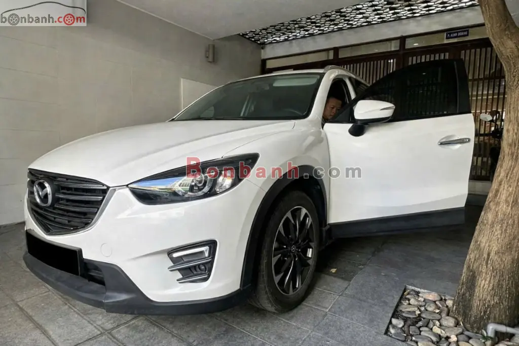 Hình ảnh số 2