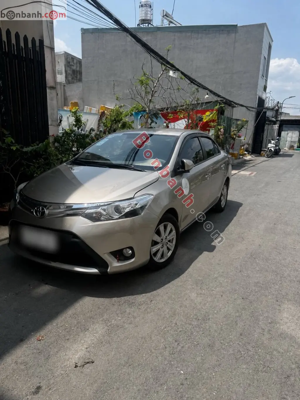 Hình ảnh số 5