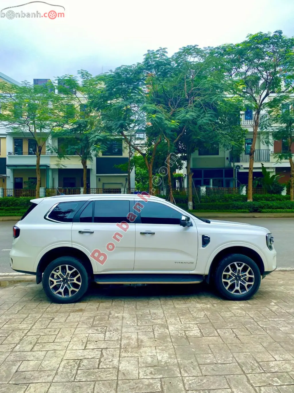 Hình ảnh số 6