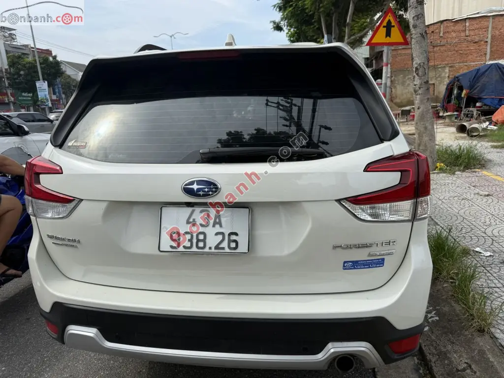 Hình ảnh số 2