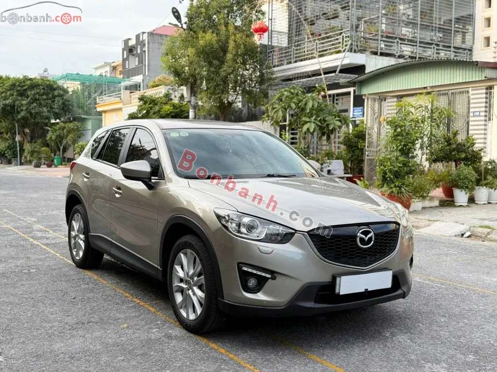 Hình ảnh số 2